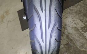 KAWASAKI NINJA 250 EX250P