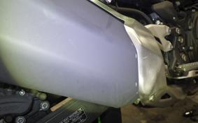 KAWASAKI NINJA 250 2021 EX250P