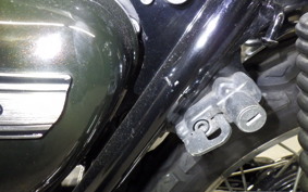 KAWASAKI W800 2017 EJ800A