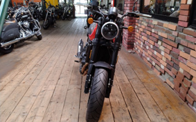 HARLEY X500 2024 W5B