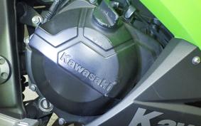 KAWASAKI NINJA 250 EX250L