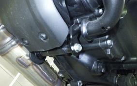 TRIUMPH SPEED400 2024