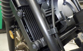 HONDA REBEL 250 S 2020 MC49