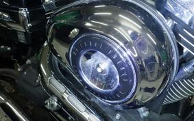 HARLEY FXDWG 1580 2010