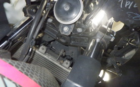 KAWASAKI NINJA 250 2023 EX250P