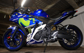 YAMAHA YZF-R25 RG10