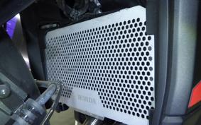 HONDA NX400 2024 NC65