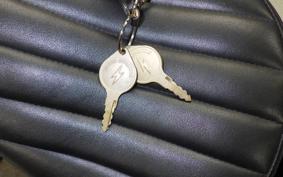 OTHER +UNREGISTERED MODEL by BDS250