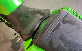 KAWASAKI NINJA 250 ABS SE EX250L