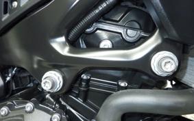 BMW F900GS 2024