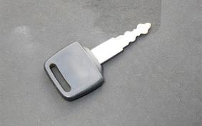 OTHER +UNREGISTERED MODEL by BDS TRIKE 2025