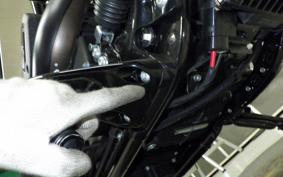 HARLEY FXLRS1920 2026