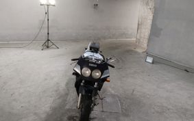 YAMAHA FZR250R-1 3LN