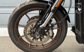 HARLEY  HARLEY FXLRS 2023 YWZ