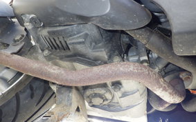 YAMAHA VINO 50 SA26J