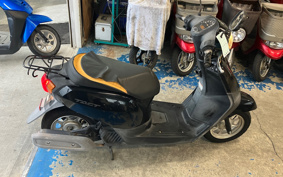 HONDA  TACT  BASIC  AF79