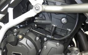 TRIUMPH TIGER 900 RALLY PRO 2022