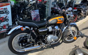KAWASAKI W800 FINAL ED 2019 EJ800A