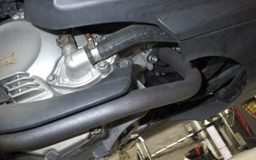 HONDA FAZE 2023 MF11