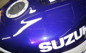 SUZUKI GSX-R1000 2001