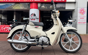 HONDA SUPER CUB110