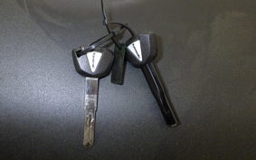 KAWASAKI ZX-4RR 2025 ZX400P