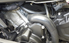 KAWASAKI ZX-4RR 2024 ZX400P