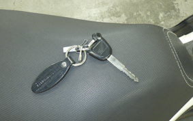 HONDA PCX125 2006 JF56