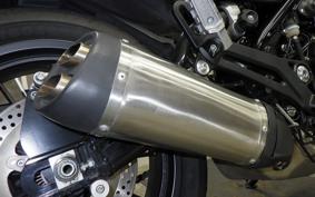 HARLEY X500 2024