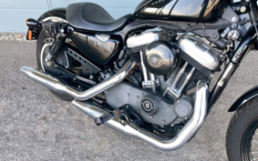 HARLEY HARLEY XL1200N 2010 CZ3