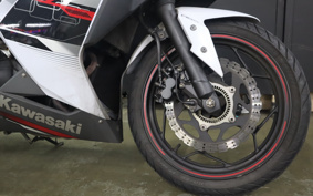 KAWASAKI NINJA 250 EX250L