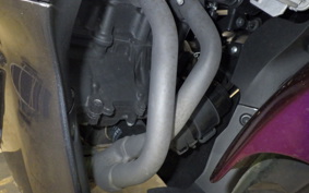 YAMAHA YZF-R25 A 2024 RG74J