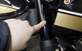 KAWASAKI Z900RS 2022 ZR900C