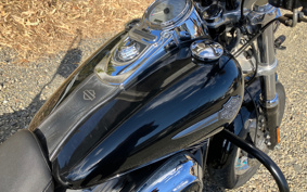 HARLEY HARLEY FXDF1580 2010 GY4