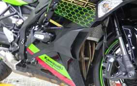 KAWASAKI NINJA ZX-25R KRT ED ZX250E