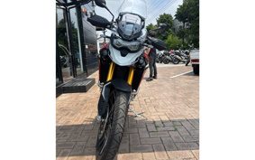 TRIUMPH TIGER 900 RALLY PRO 2025 TRC83D