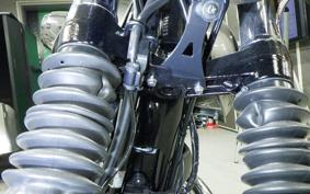KAWASAKI W800 2024 EJ800E