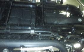 HARLEY XL1200XS 2019