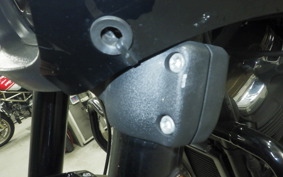 HARLEY FXFBS1870 2019