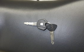 SUZUKI ｼﾞｸｻｰ250 2020 ED22Y