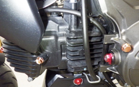 KAWASAKI Z125 PRO 2005 BR125H