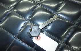 HONDA ZOOMER 2025 AF58