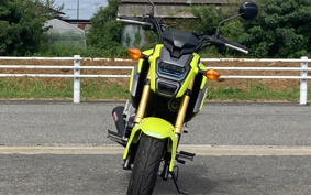 HONDA GROM JC61