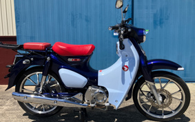 HONDA CBR600RR 2005 PC37