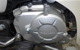 HONDA C50 SUPER CUB 2009 AA09