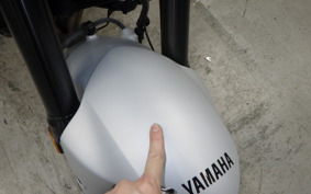 YAMAHA MT-09 AMT 2025 RN88J