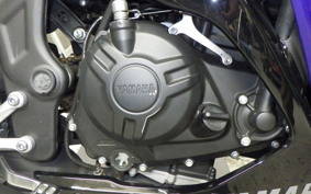 YAMAHA YZF-R25 2021 RG43J
