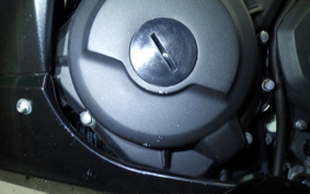 KAWASAKI NINJA 250 2023 EX250Y