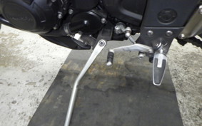 TRIUMPH TIGER 1050 2013
