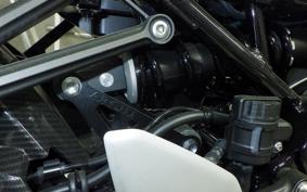 KAWASAKI Z900RS 2024 ZR900K
